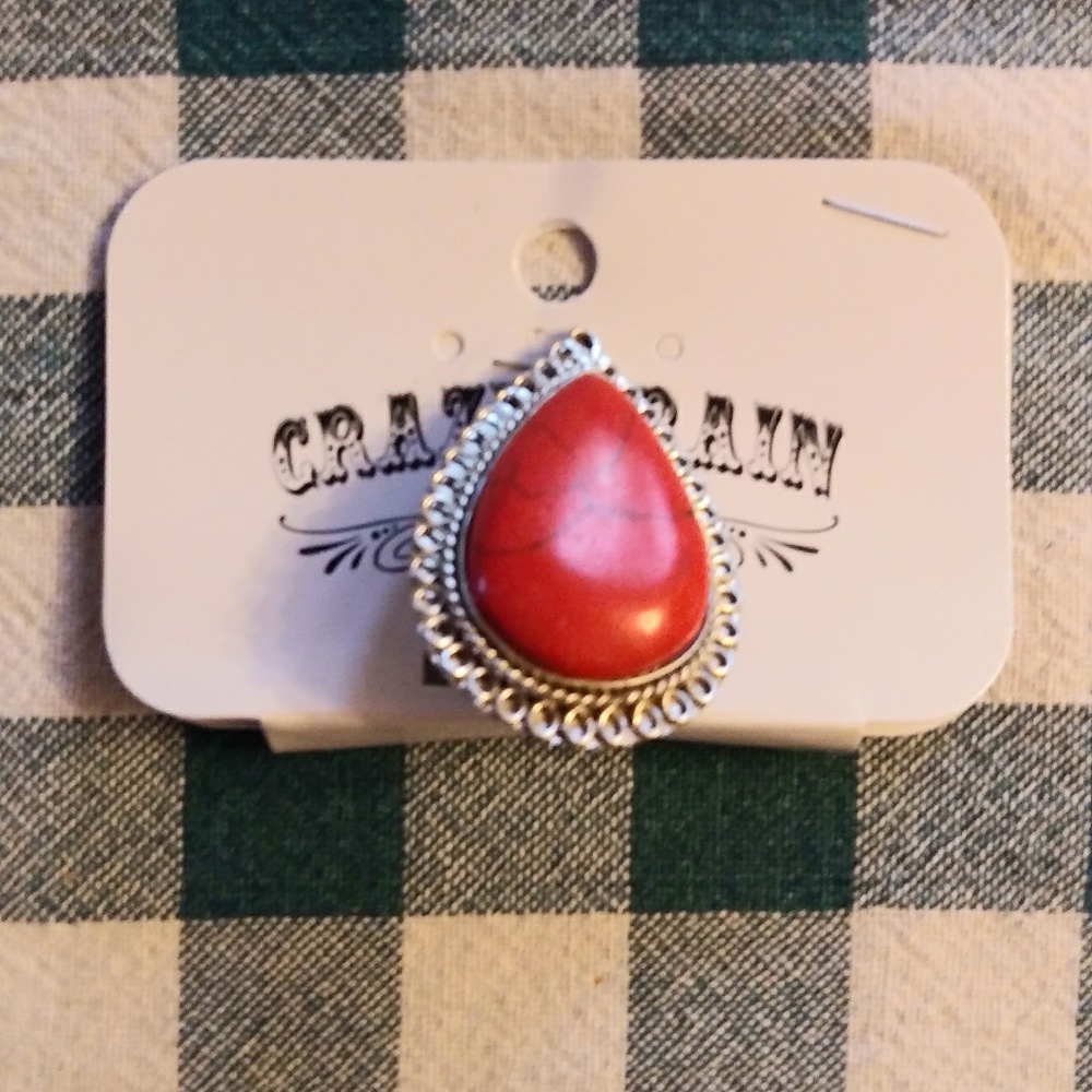 Ring or wild rag slide